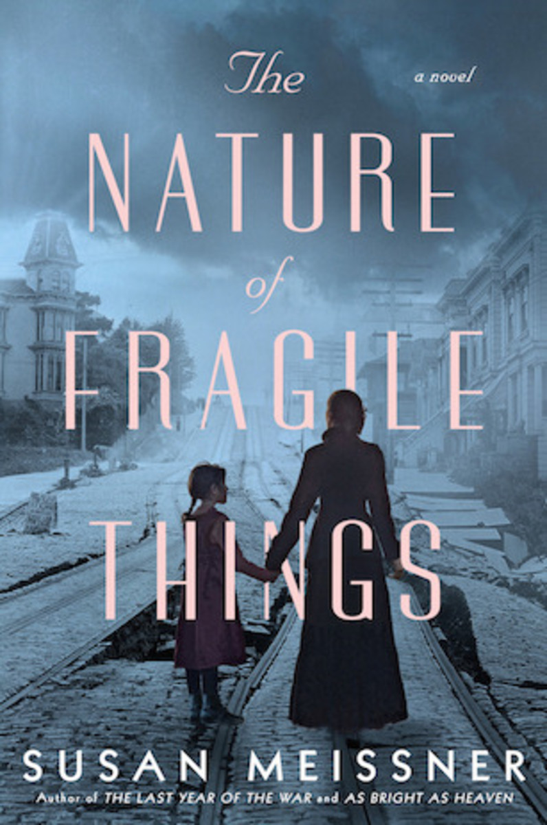The Nature of Fragile Things by Susan Meissner