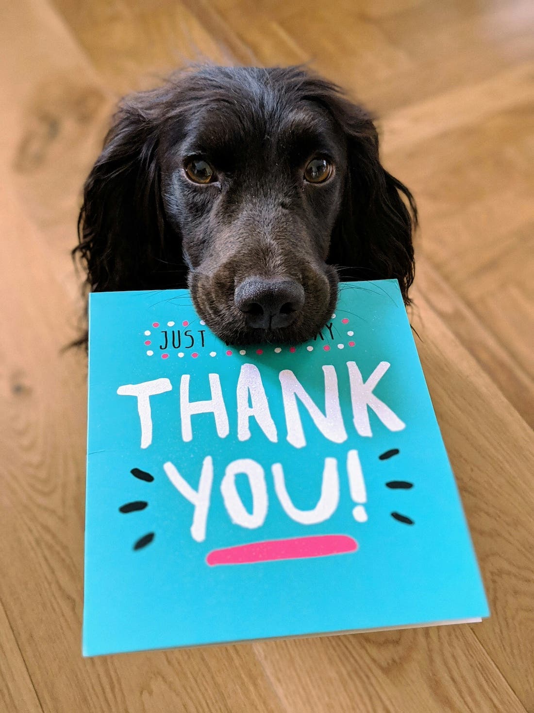 The Thank You Card